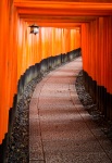 At Fushimi-Inari Taisha in Kyoto, Japan