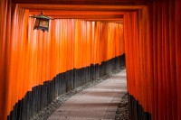 At Fushimi-Inari Shrine in Kyoto, Japan