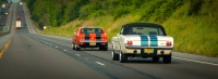 Mustangs in Pennsylvania