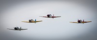 Advanced Trainers at the WWII Weekend at the Mid-Atlantic Air Museum in Reading, PA