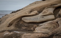 At Point Lobos Natural Reserve in Carmel-By-The-Sea, California