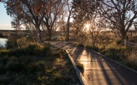 Pecos River BLM Recreation Area near Carlsbad, NM