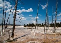 At the Fountain Paint Pots in Yellowstone, WY