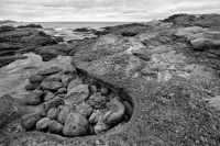 At Point Lobos Natural Reserve in Carmel-By-The-Sea, CA