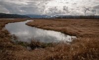At Steigerwald Lake National Wildlife Refuge in Washougal, Washington