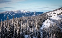 At Hurricane Ridge in Olympic National Park, WA
