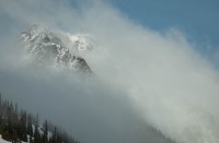 On the drive from Hurricane Ridge in Olympic National Park, WA