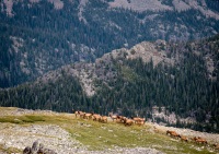 Flattop Mountain Hike in Rocky Mountain National Park