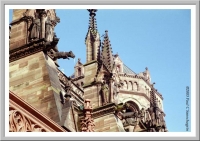 The Strasbourg Cathedral