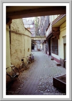 A Strasbourg alley