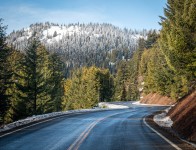 Along the drive to Hurricane Ridge in Olympic National Park