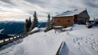 At Hurricane Ridge in Olympic National Park