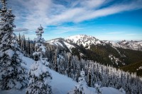 At Hurricane Ridge in Olympic National Park