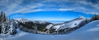 At Hurricane Ridge in Olympic National Park