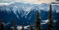 At Hurricane Ridge in Olympic National Park