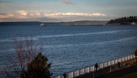 View from the Olympic Sculpture Park in Seattle
