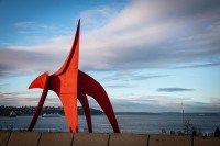 The Eagle at the Olympic Sculpture Park in Seattle