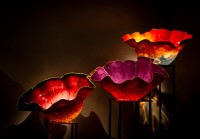 Macchia Forest at Chihuly Garden and Glass Museum in Seattle