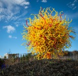 Garden at Chihuly Garden and Glass Museum in Seattle