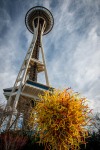 Space Needle from Garden at Chihuly Garden and Glass Museum in Seattle