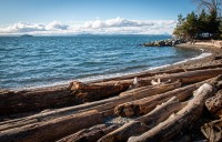 Walking along Centenial Park in Seattle