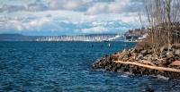 Walking along Centenial Park in Seattle