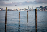 View from West Seattle