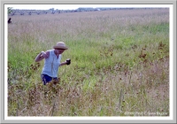 Suzanne crossing the battlefield
