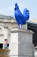 Rooster in Trafalgar Square