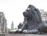 Trafalgar Square Lion