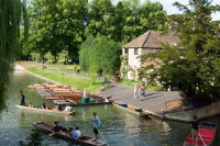 Along the Cam
