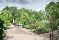 In Hyde Park