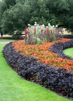 In Hyde Park