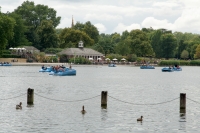 In Hyde Park