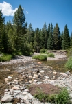 Along Colorado River Trail in Rocky Mountain National Park