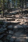 Deer Mountain Hike in Rocky Mountain National Park