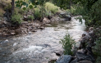 In Estes Park