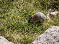 Flattop Mountain Hike in Rocky Mountain National Park