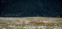 Flattop Mountain Hike in Rocky Mountain National Park