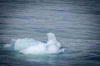 At Hubbard Glacier