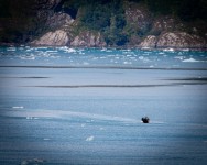 Near Hubbard Glacier