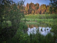 Northwood Park in Anchorage
