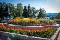 Town Square Park in Achorage