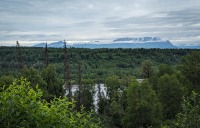 At Denali Viewpoint South in Trapper Creek