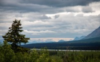 On the drive to Denali National Park