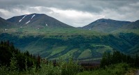On the drive to Denali National Park