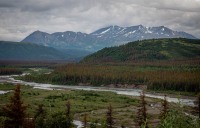 On the drive to Denali National Park