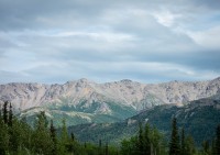 In Denali National Park