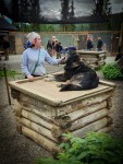 At Sled Dog Kennels in Denali National Park