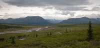 On the Tundra Wilderness Tour in Denali National Park